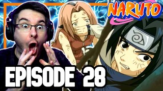 PANIC IN THE FOREST!! | Naruto Episode 28 REACTION | Anime Reaction