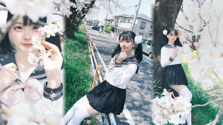 Thiếu nữ JK mặt tròn dưới tán hoa anh đào – Cô bé phiền phức [Khả Tâm Miêu]