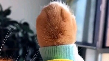Aku adalah pangeran kecil dari klub malam