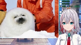 Gadis natural Jepang menonton "Tangki Gas: Tangani Macan Tutul dengan Hati-hati": Anjing laut sangat