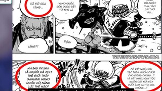 Nguồn Gốc Xuất Thân Của Zoro_ - Mối Liên Hệ Với Monkey D. Dragon p2