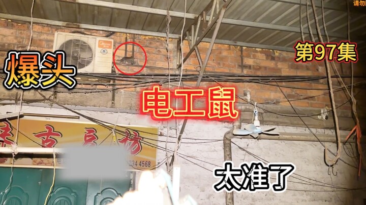 The urban village was overrun with rats, and the electrician rats were especially arrogant. As a res