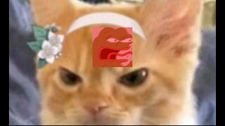 mariii 😭💢😭💢 is angry me.
