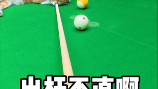 橘子疼不疼啊？