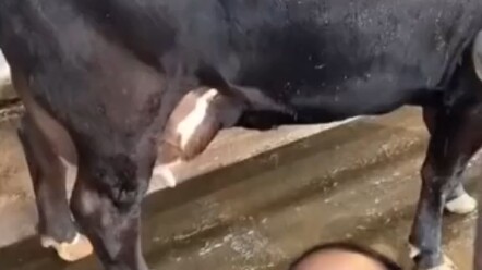 Chuyện gì đã xảy ra!