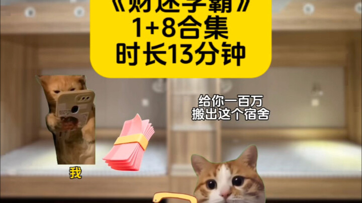 Money-Minded Genius: 1+8 Compilation