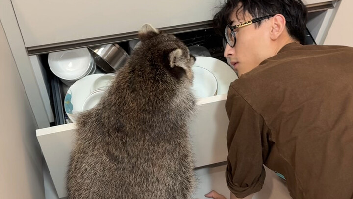 Look down on everyone