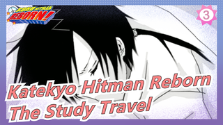 [Katekyo Hitman Reborn Hand Drawn MAD] The Study Travel of Protectors 10 Years Later_3