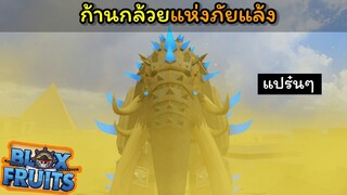 ก้านกล้วยแห่งภัยแล้ง !!! [Blox Fruits]