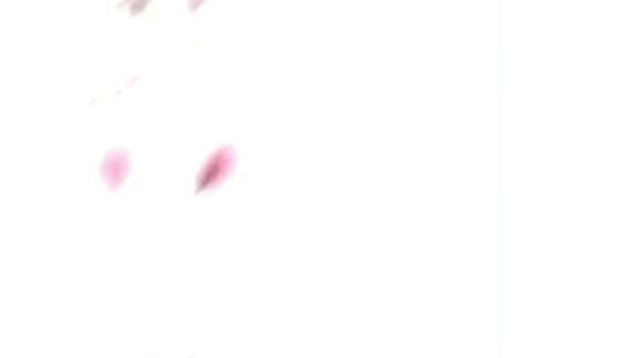 ada instal kalian ga disitu