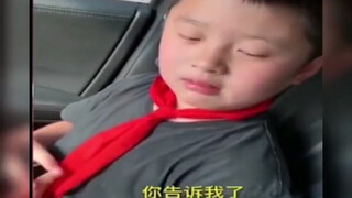 真不错