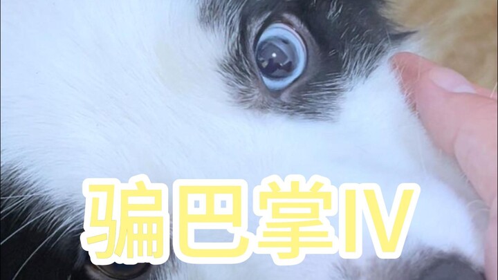 Đã không diễn nữa rồi