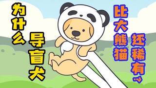 [Orange] When you say “guide dogs are not allowed”, is it for the blind people or for the dogs?
