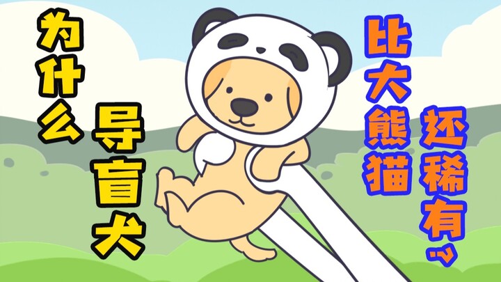 【橘】你们说“导盲犬禁止入内”，是给盲人看的，还是给狗看的？