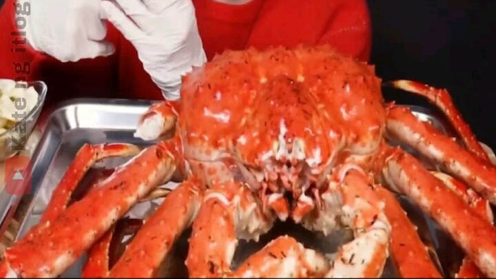 King Crab | Chicken | Burgers Mukbang.