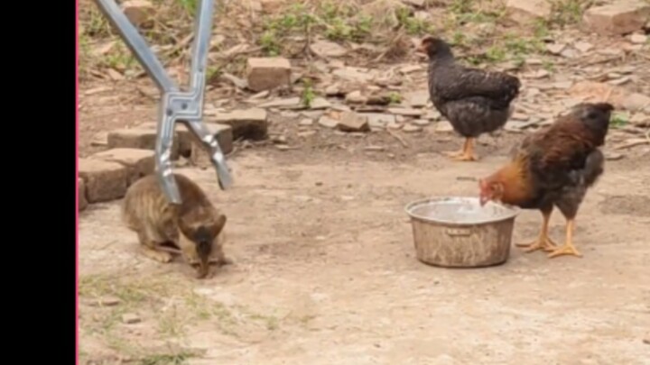 Hakimi caught sneaking a snack and exiled a thousand miles away