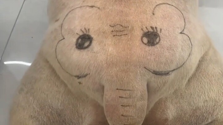 Dog: Hehe, I really nailed the baby elephant impression!