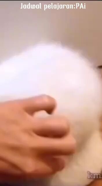 jadwal pelajaran : PAI. mendadak pelajaran IPA
