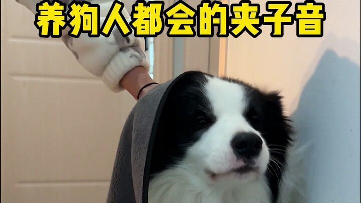 The "clip sound" that every dog owner knows