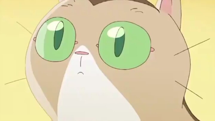 “这就是伟大的母爱吧”