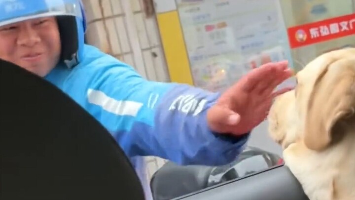 "You can't hide the love in your eyes for dogs!"