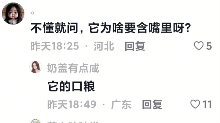 In the desolate lands of Bashan and Chushui, my child contains no additives.