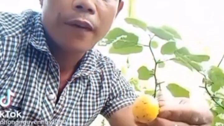 Nhạc chuông mới cho mọi người