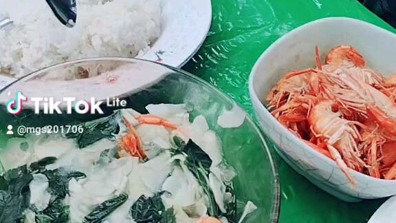 my vcay march-april2022