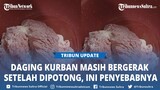 Viral Daging Kurban Terlihat Bergerak setelah Dipotong, Nampak seperti Masih Berdenyut