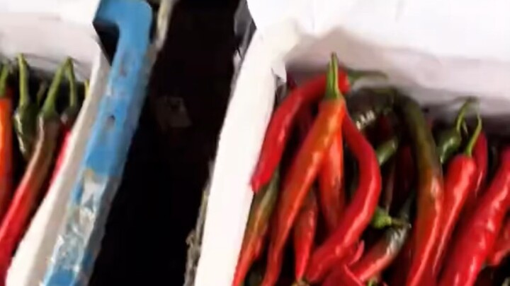 Agro life in Malaysia #reelsvideoシ #NewsUpdate #agriculture #everyone #followers #farming #malaysia