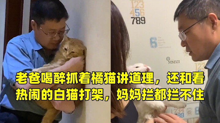 Dad, drunk, grabs the orange cat and tries to reason with it, even getting into a fight with the onl