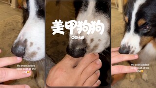 狗子，你这是在⁉️