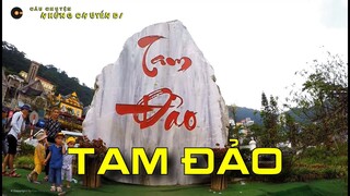 Du lịch tam đảo 1 ngày