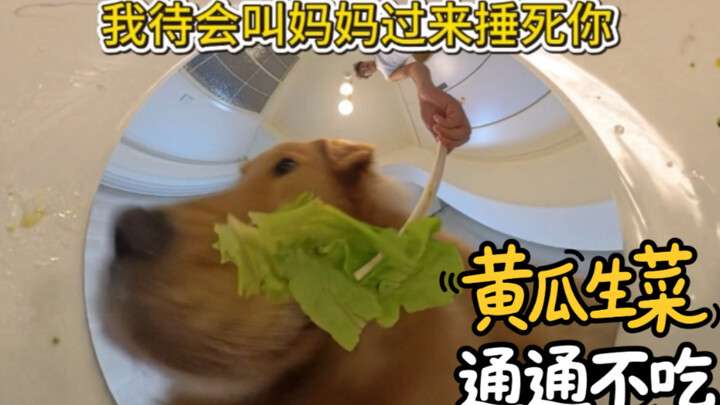 I’m in a bad mood today—no cucumber, no lettuce!