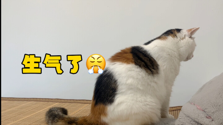 It woke me up this morning, but I ignored it…