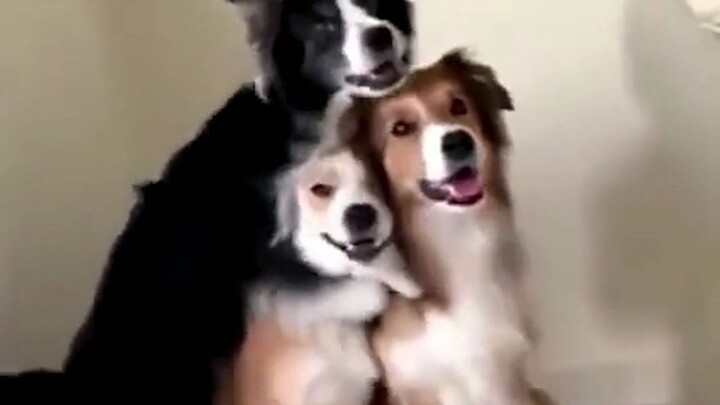 What are you filming? We're just missing you!