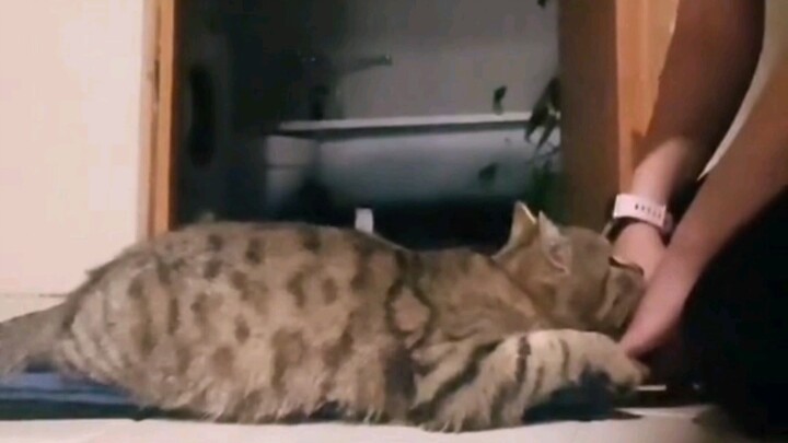 Olga | 立刻马上！抱她！