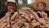 [Makanan]|2,5 Kg Udang Mantis Dimasak "Udang Mantis Pedas", Mantap!