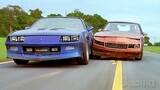 Brown Car VS Blue Car (who wins?) | Black Dog | CLIP