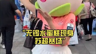 无锡水蜜桃现身 苏超赛场