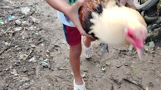 Part 2