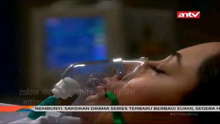 244 D | Uttaran Bahasa Indonesia