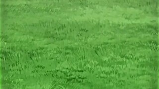 wkwkwkwk wajahnya merah bet tuh dan habis direbus atau kek mna? 😹