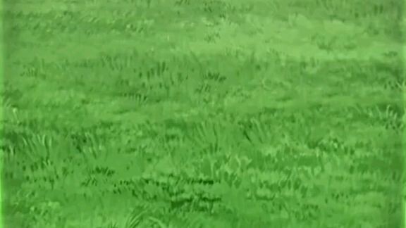 wkwkwkwk wajahnya merah bet tuh dan habis direbus atau kek mna? 😹