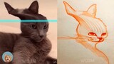 Time Warp Scan Animals - Cats compilation 2021| MEOW