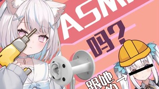 Japanese cats learn advanced ASMR (civil engineering) experience