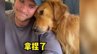 金毛是如何交朋友的