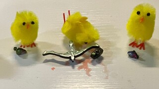 猜猜哪只小鸡用了弓箭带扣