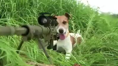 Target on sight