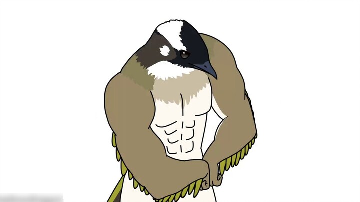 [Animasi meme burung] Botak Bulbul yang lebih besar, lebih baik, dan lebih kuat